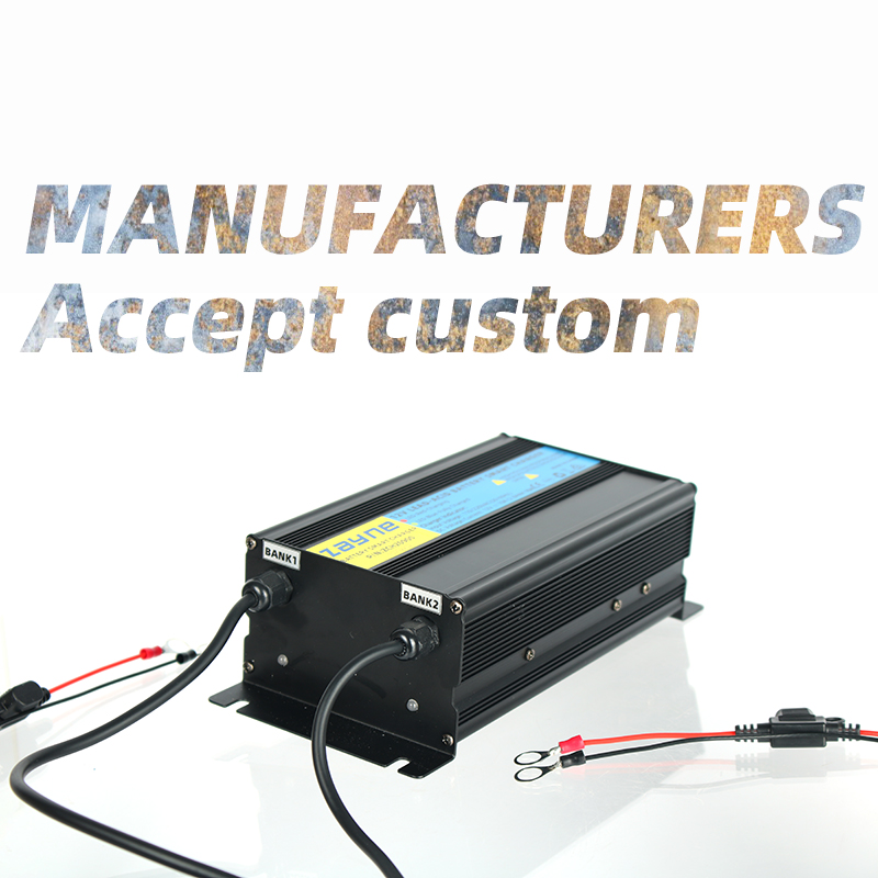 2-Bank 20A 10Amp Per Bank 12V  - Agm Deep Cycle Battery 评论和价格